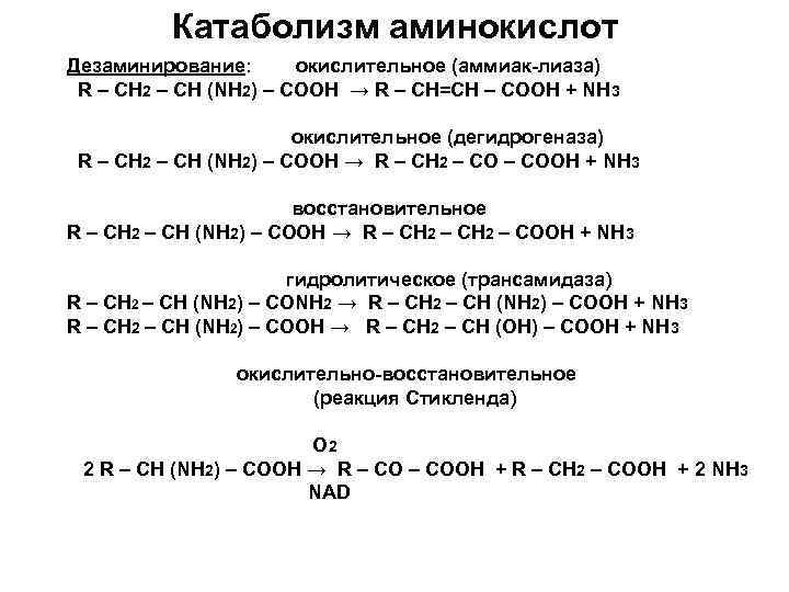 Катаболизм аминокислот Дезаминирование: окислительное (аммиак-лиаза) R – CH 2 – CH (NH 2) –
