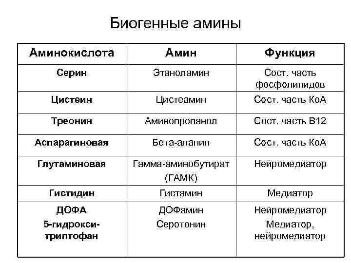 Биогенные амины Аминокислота Амин Функция Серин Этаноламин Сост. часть фосфолипидов Цистеин Цистеамин Сост. часть