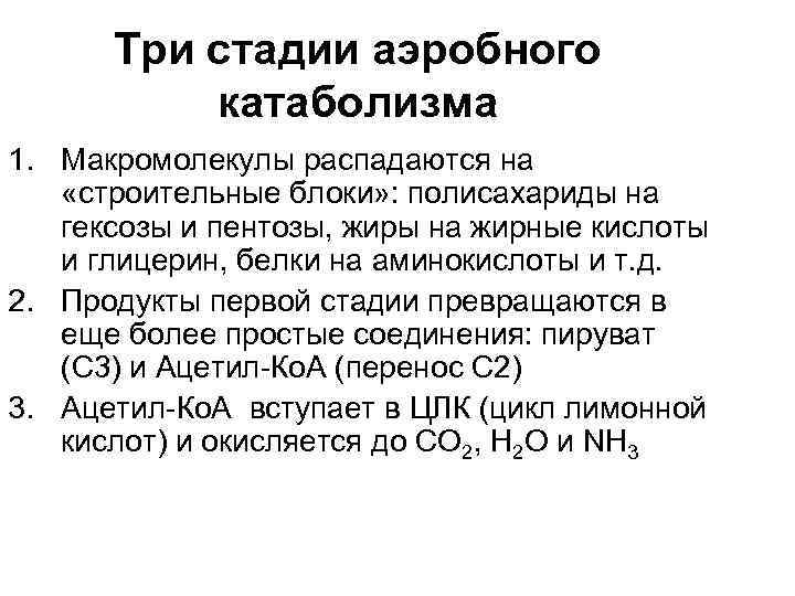 Три стадии аэробного катаболизма 1. Макромолекулы распадаются на «строительные блоки» : полисахариды на гексозы