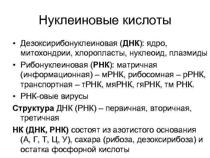 Нуклеиновые кислоты • Дезоксирибонуклеиновая (ДНК): ядро, митохондрии, хлоропласты, нуклеоид, плазмиды • Рибонуклеиновая (РНК): матричная