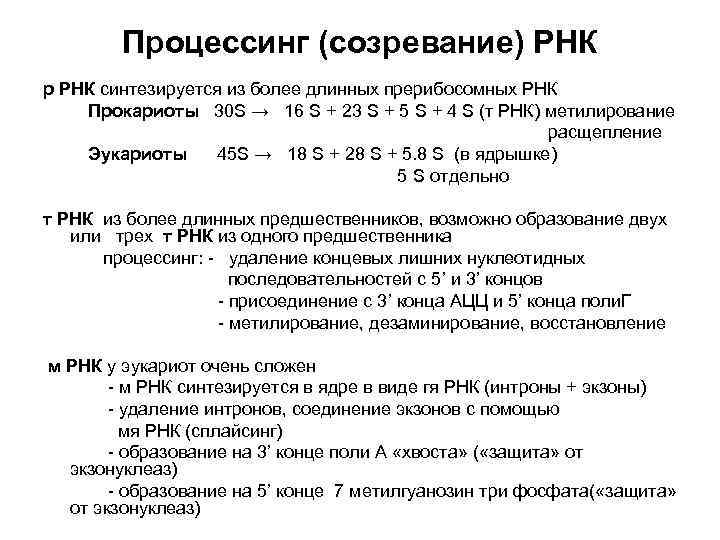   Процессинг (созревание) РНК р РНК синтезируется из более длинных прерибосомных РНК Прокариоты