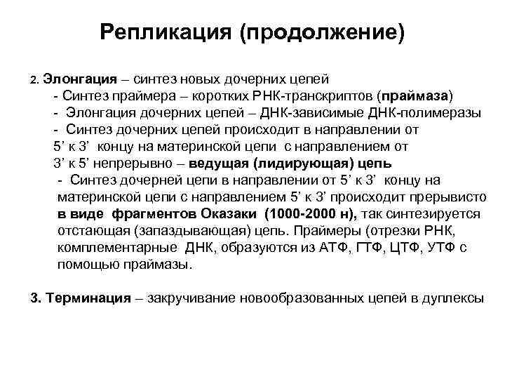    Репликация (продолжение) 2. Элонгация  – синтез новых дочерних цепей 