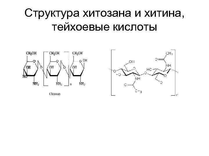 Структура хитозана и хитина, тейхоевые кислоты 