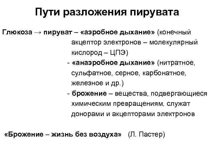   Пути разложения пирувата Глюкоза → пируват – «аэробное дыхание» (конечный  