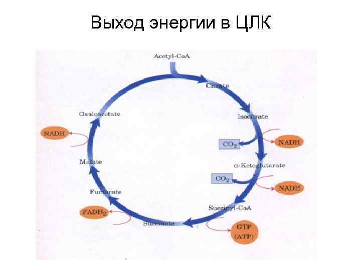 Выход энергии в ЦЛК 