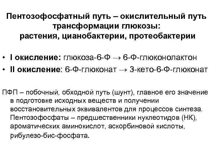  Пентозофосфатный путь – окислительный путь  трансформации глюкозы: растения, цианобактерии, протеобактерии  •