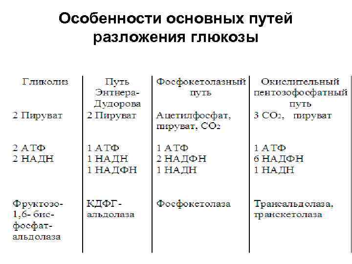 Особенности основных путей  разложения глюкозы 