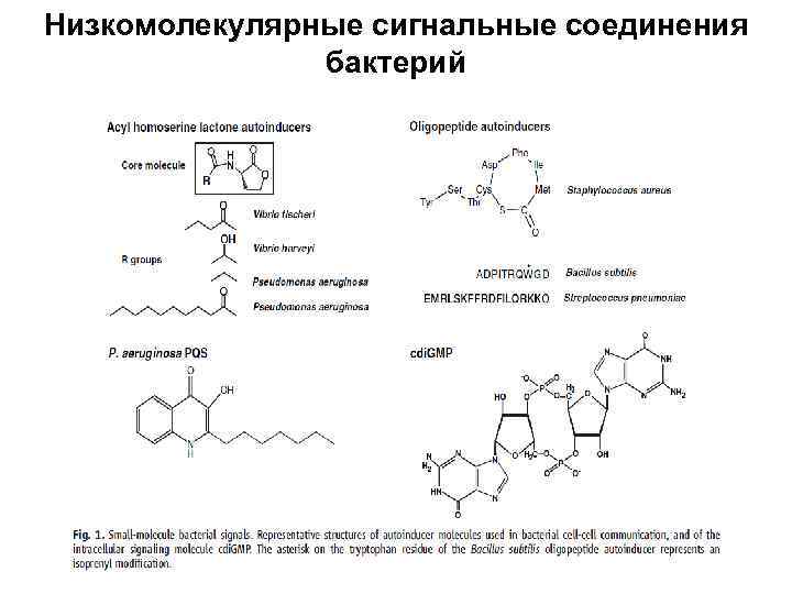 Базовые биохимические