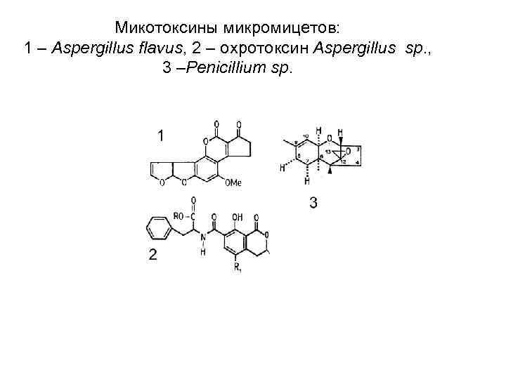    Микотоксины микромицетов: 1 – Aspergillus flavus, 2 – охротоксин Aspergillus sp.