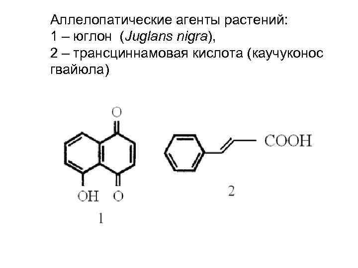 Аллелопатические агенты растений: 1 – юглон (Juglans nigra), 2 – трансциннамовая кислота (каучуконос гвайюла)