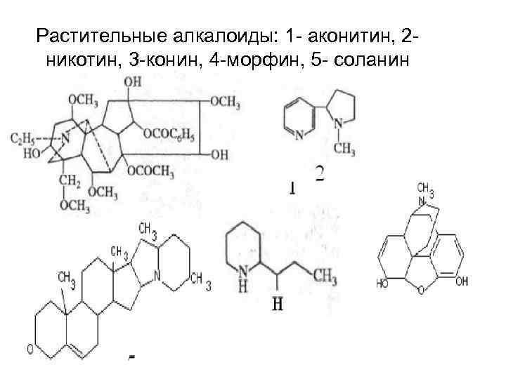 Растительные алкалоиды: 1 - аконитин, 2 - никотин, 3 -конин, 4 -морфин, 5 -