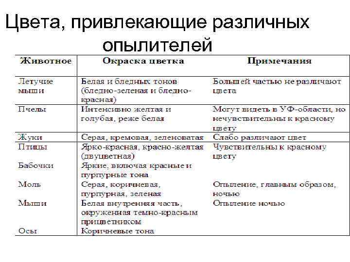 Цвета, привлекающие различных  опылителей 