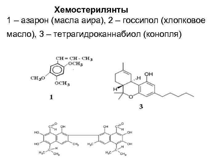   Хемостерилянты 1 – азарон (масла аира), 2 – госсипол (хлопковое масло), 3