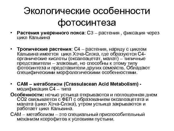  Экологические особенности   фотосинтеза • Растения умеренного пояса: С 3 – растения