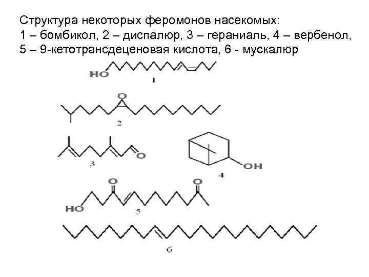 Строение некоторые