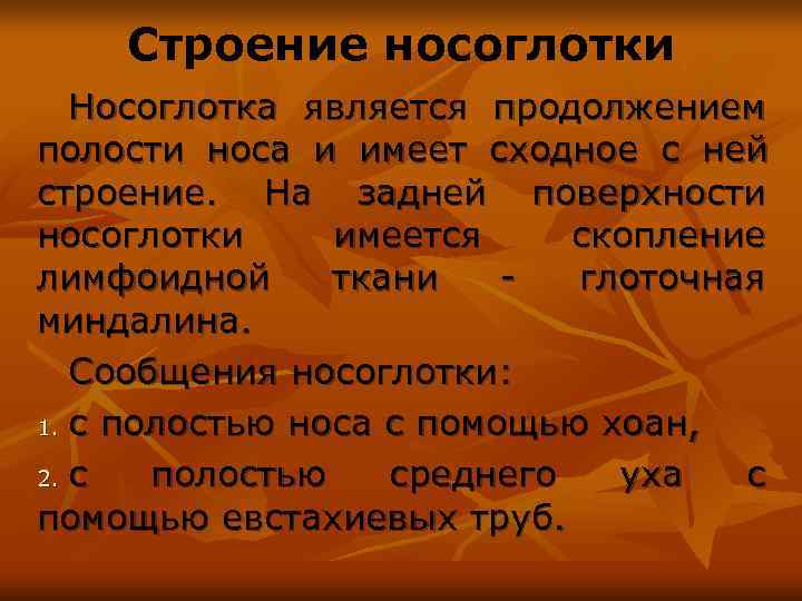   Строение носоглотки  Носоглотка является продолжением полости носа и имеет сходное с