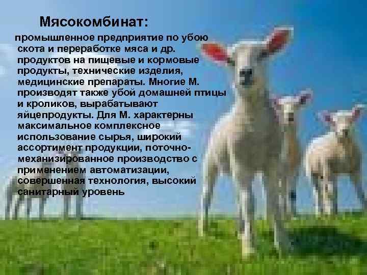    Мясокомбинат: промышленное предприятие по убою скота и переработке мяса и др.