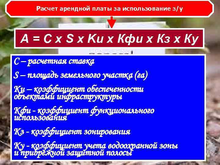 Расчет арендной платы за использование з/у А = С х S x Kи Расчет арендной платы за использование з/у А = С х S x Kи