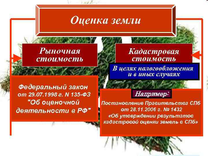 Оценка земли Рыночная Кадастровая Оценка земли Рыночная Кадастровая