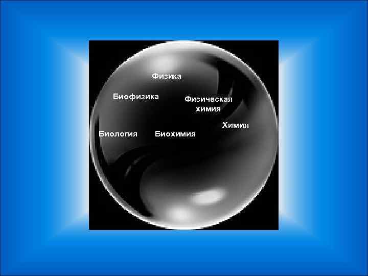   Физика  Биофизика   Физическая    химия  