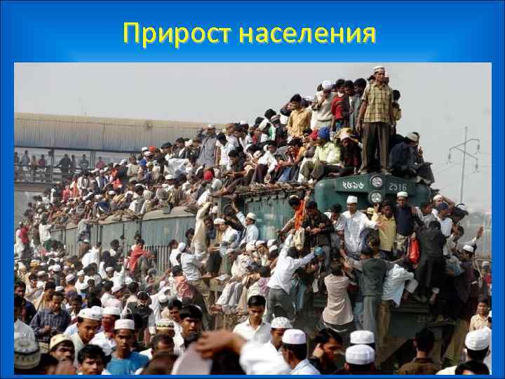 Прирост населения 