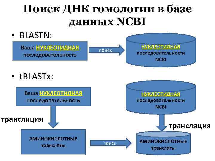 Понятие биоинформатика презентация