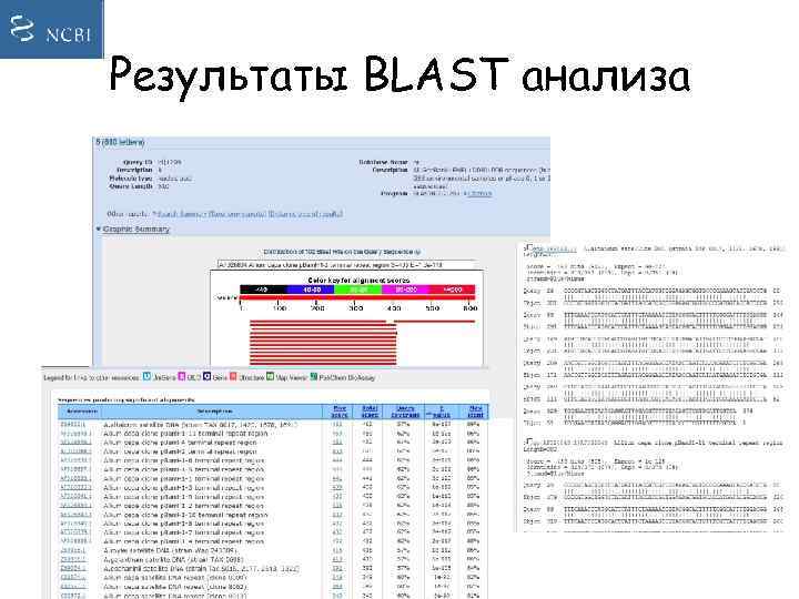 Результаты BLAST анализа 