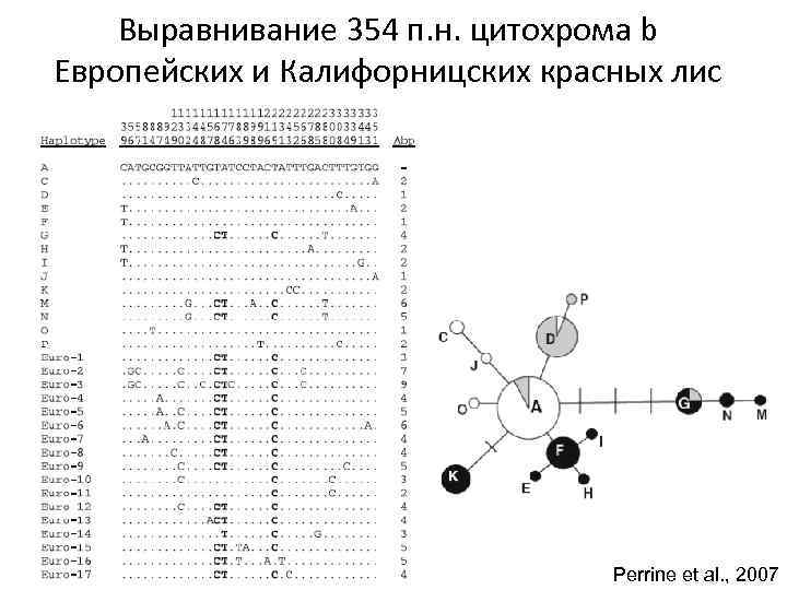 354 п 118