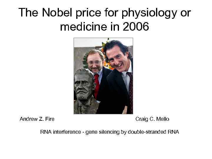 The Nobel price for physiology or  medicine in 2006 Andrew Z. Fire 