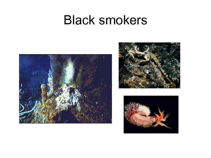 Black smokers 