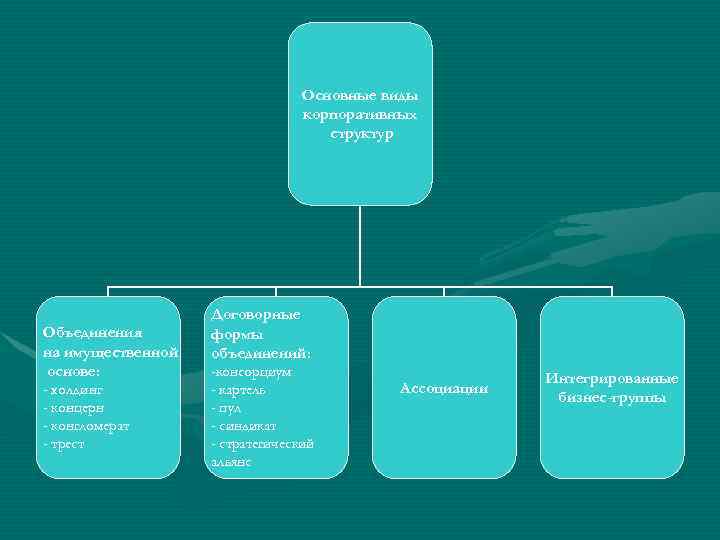        Основные виды     