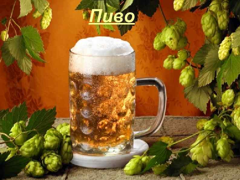 Пиво 