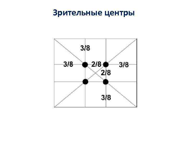 Зрительные центры Зрительные центры