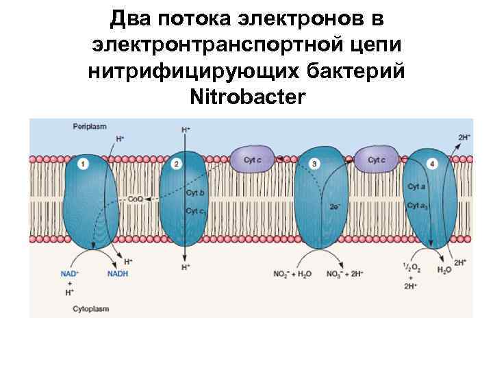 Поток электронов