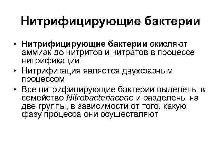  Нитрифицирующие бактерии • Нитрифицирующие бактерии окисляют  аммиак до нитритов и нитратов в