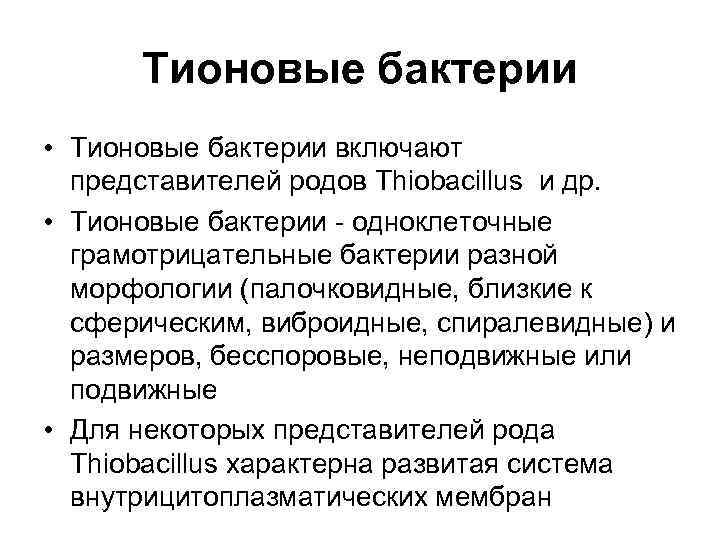  Тионовые бактерии • Тионовые бактерии включают  представителей родов Thiobacillus и др. 