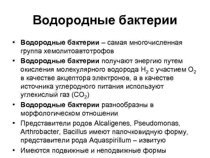  Водородные бактерии • Водородные бактерии – самая многочисленная  группа хемолитоавтотрофов • Водородные