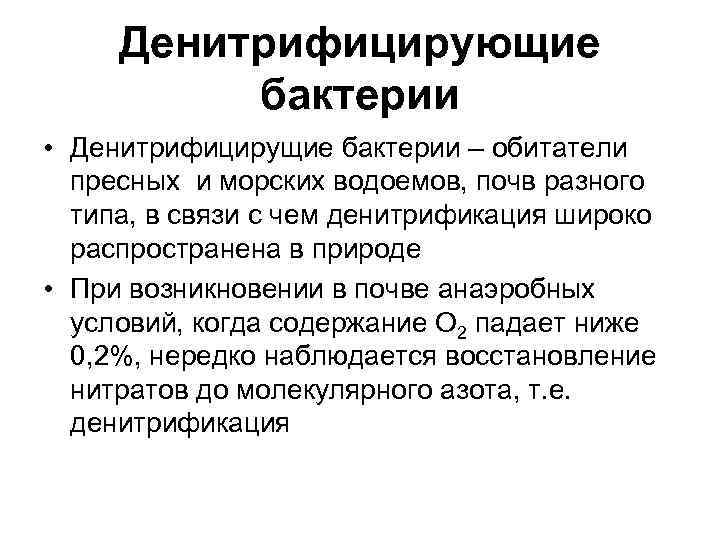  Денитрифицирующие  бактерии • Денитрифицирущие бактерии – обитатели  пресных и морских водоемов,