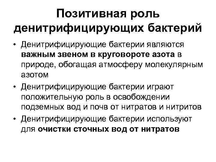  Позитивная роль денитрифицирующих бактерий • Денитрифицирующие бактерии являются  важным звеном в круговороте