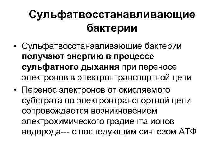   Сульфатвосстанавливающие  бактерии • Сульфатвосстанавливающие бактерии  получают энергию в процессе 