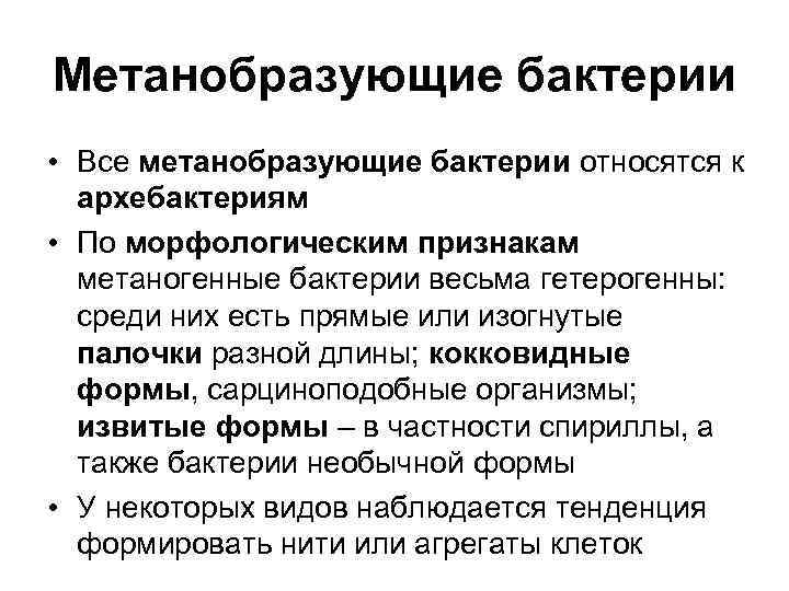 Метанобразующие бактерии • Все метанобразующие бактерии относятся к  архебактериям • По морфологическим признакам