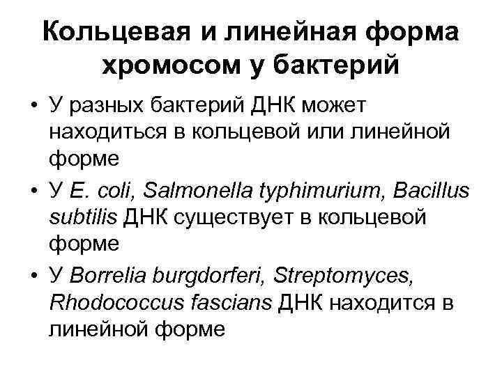  Кольцевая и линейная форма хромосом у бактерий • У разных бактерий ДНК может