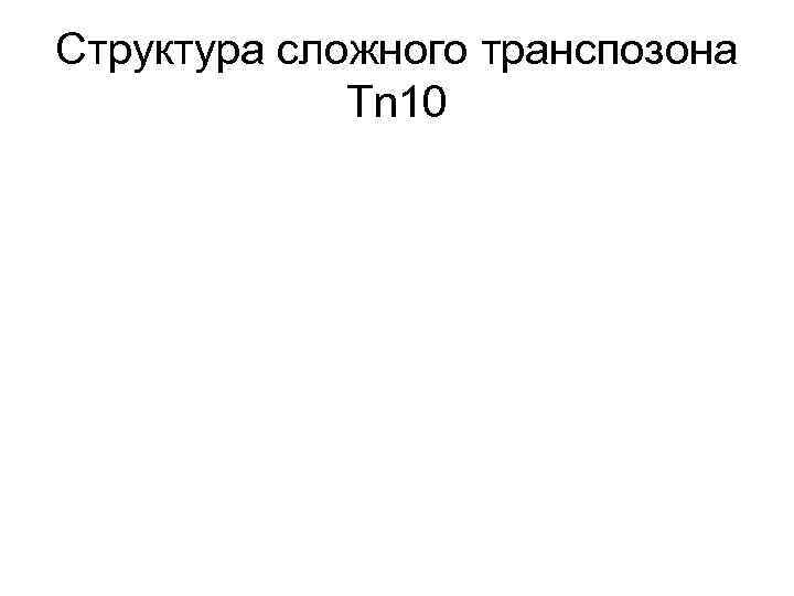 Структура сложного транспозона    Tn 10 