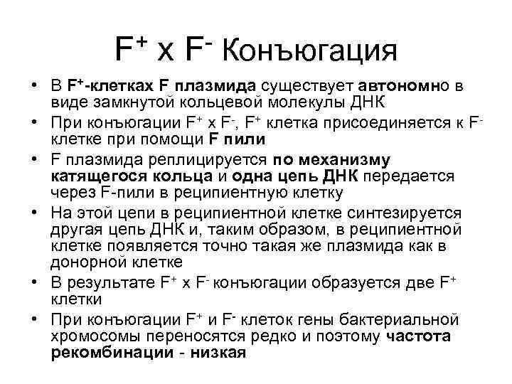    F + х F- Конъюгация • В F+-клетках F плазмида существует