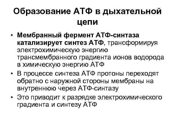Образование АТФ в дыхательной   цепи • Мембранный фермент АТФ-синтаза  катализирует синтез