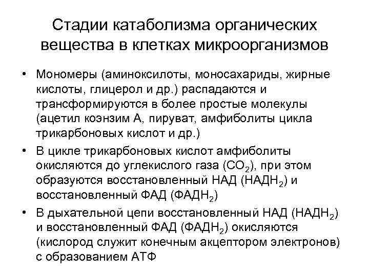   Стадии катаболизма органических  вещества в клетках микроорганизмов • Мономеры (аминоксилоты, моносахариды,