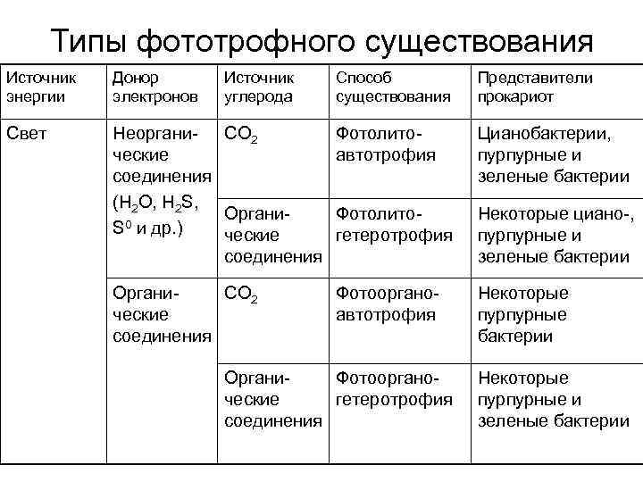 Тип обмена веществ бактерий