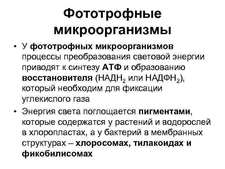 Процессы микроорганизмов