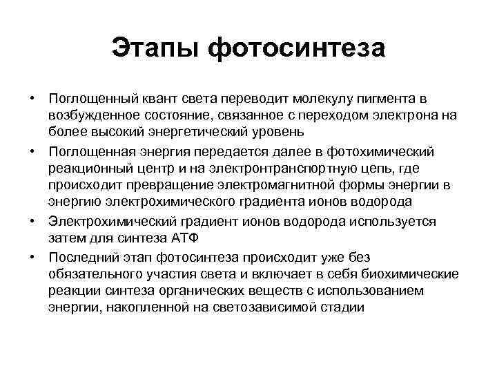   Этапы фотосинтеза • Поглощенный квант света переводит молекулу пигмента в  возбужденное