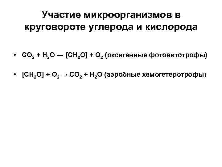  Участие микроорганизмов в  круговороте углерода и кислорода  • CO 2 +